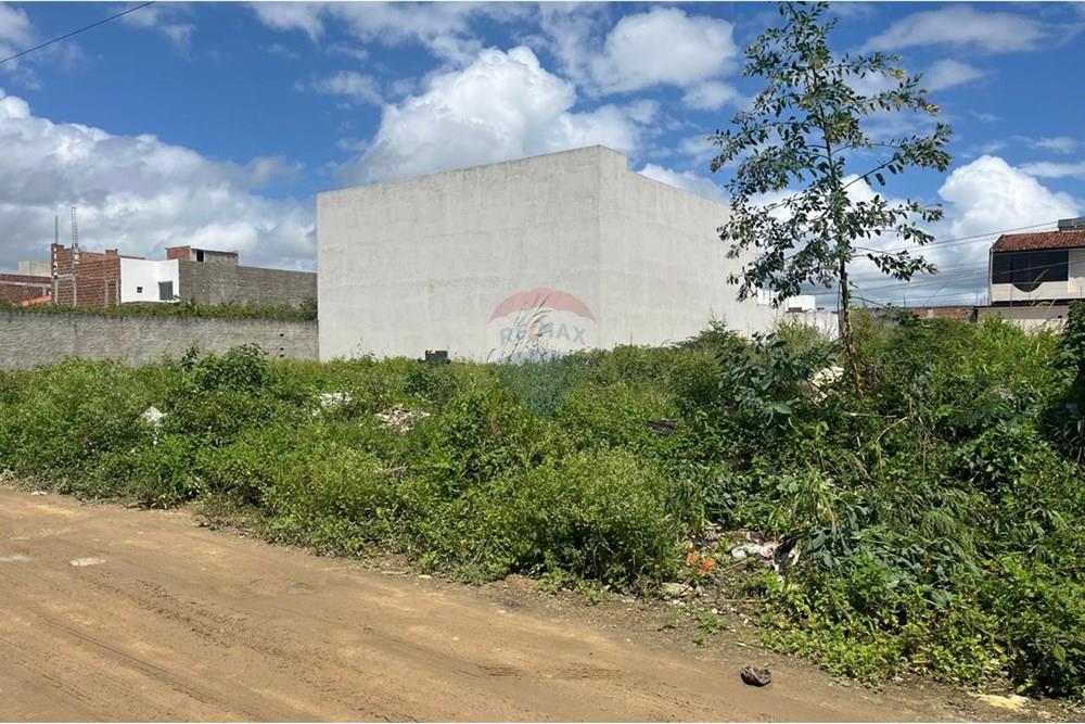 Terreno - Venda - Caruaru , Pernambuco - WhatsApp Image 2025-03-06 at 11.13.51 (2).jpeg - 850161060-22