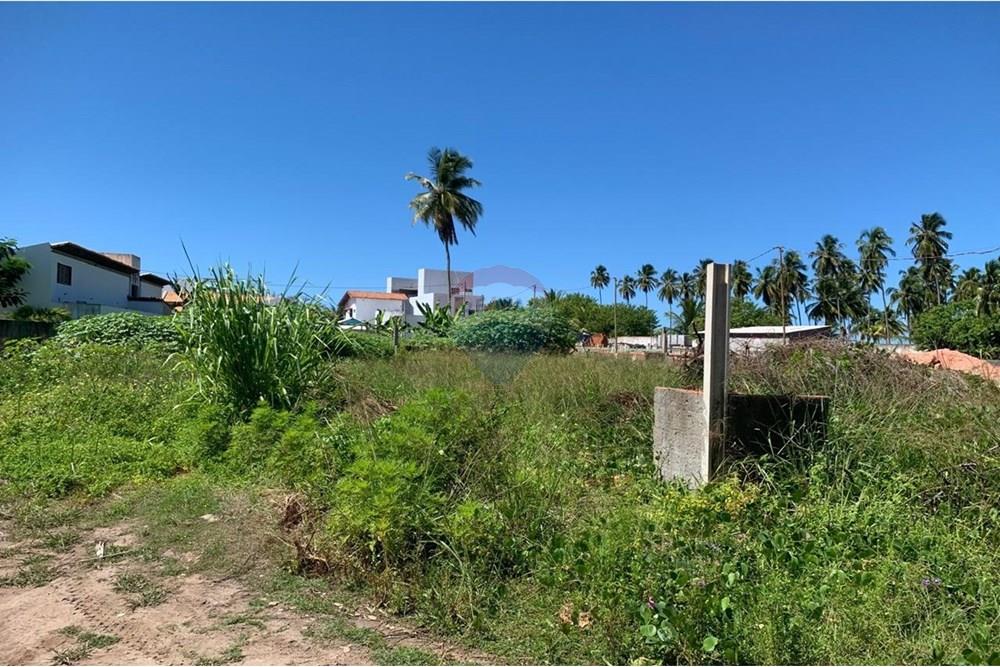 Terreno - Venda - Porto de Pedras , Alagoas - 4.jpg - 850661038-25