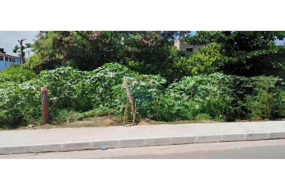 Terreno - Venda - Marechal Deodoro , Alagoas - Imagem do WhatsApp de 2025-05-15 à(s) 09.45.44_409c6371.jpg - 850141085-3