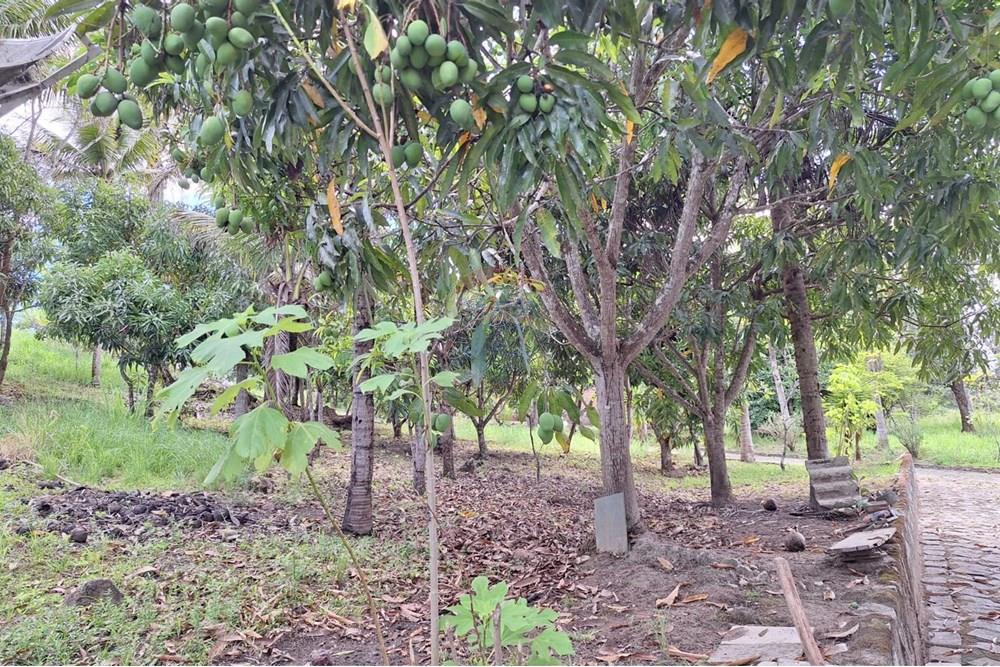 Chácara / Sítio / Fazenda - Alugar - Caruaru , Pernambuco - WhatsApp Image 2024-01-05 at 10.08.10 (2).jpeg - 850161060-37