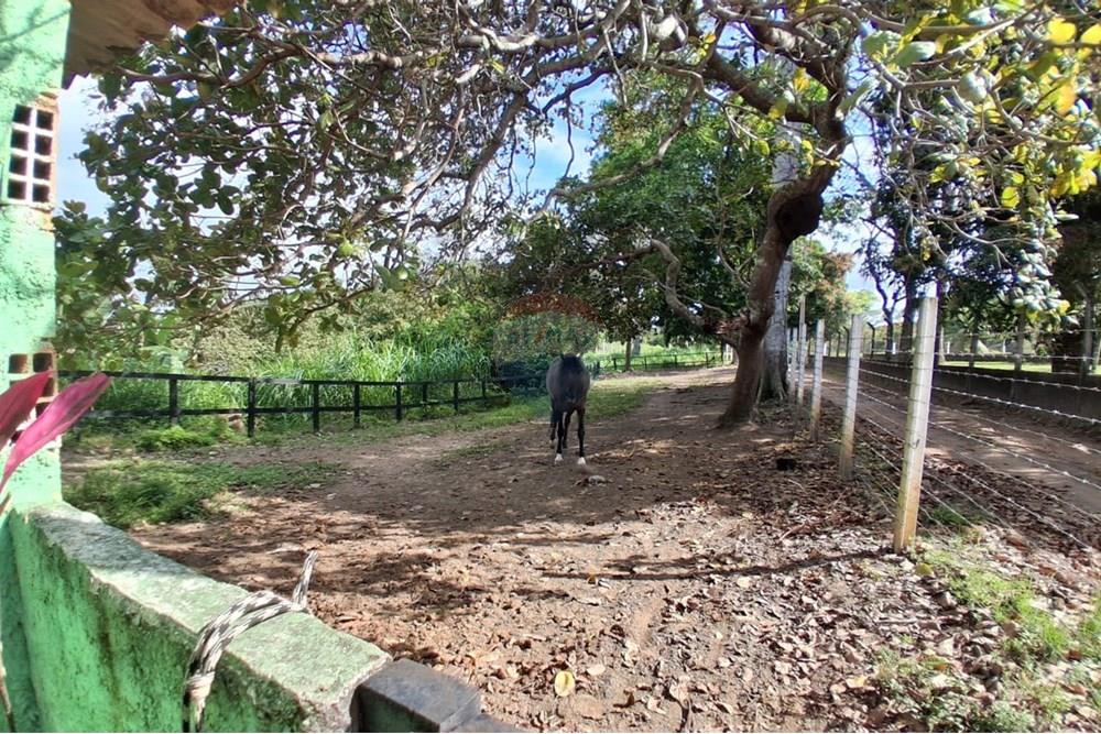 Chácara / Sítio / Fazenda - Venda - São Lourenço da Mata , Pernambuco - IMG-20251021-WA0133.jpg - 850091086-4