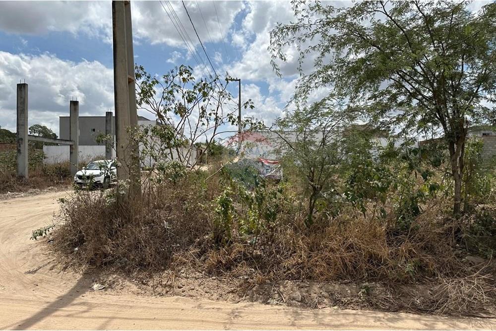 Terreno - Venda - Lajedo , Pernambuco - WhatsApp Image 2024-12-03 at 21.00.08 (1).jpeg - 850131003-360