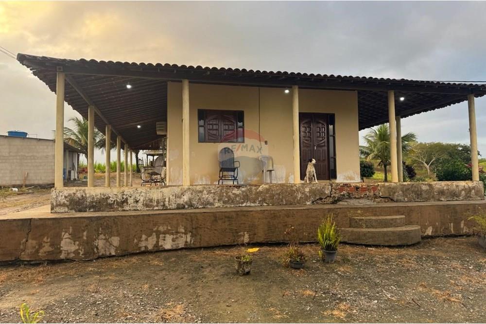 Chácara / Sítio / Fazenda - Venda - Boca da Mata , Alagoas - WhatsApp Image 2025-09-30 at 10.02.36.jpeg - 850641045-58