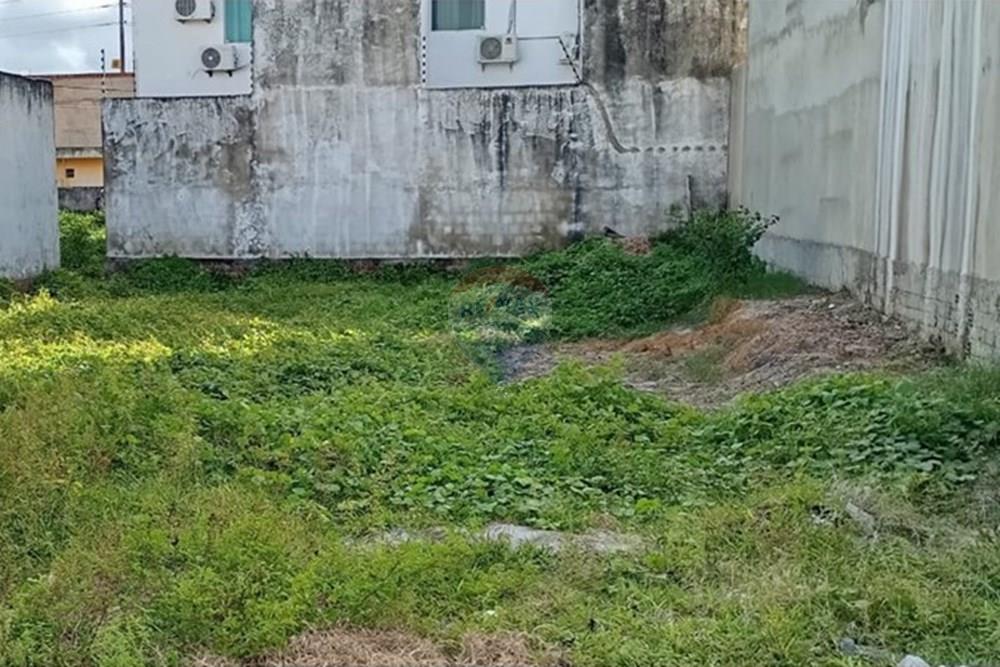 Terreno - Venda - Tamandaré , Pernambuco - WhatsApp Image 2025-09-11 at 15.22.22.jpeg - 850221044-4