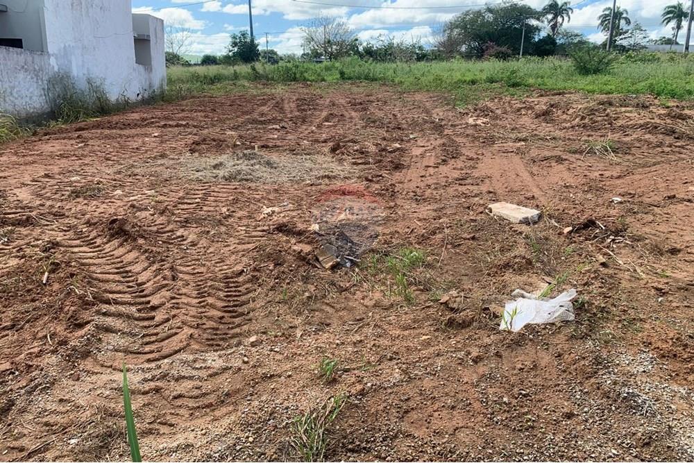 Terreno - Venda - Palmeira dos Índios , Alagoas - 087e858e-c09f-4676-8149-72a0a46d87d2.jpg - 850271243-2