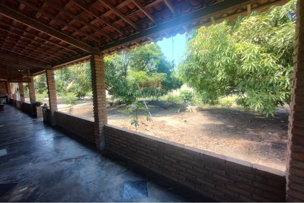 Chácara / Sítio / Fazenda - Venda - Marechal Deodoro , Alagoas - WhatsApp Image 2025-02-23 at 21.31.05 (2).jpeg - 850271006-269