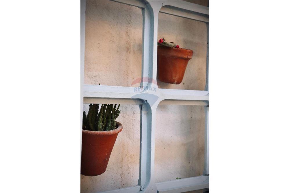 Cj. Comercial/ Sala - Alugar - Ipojuca , Pernambuco - 27 - 850221002-497