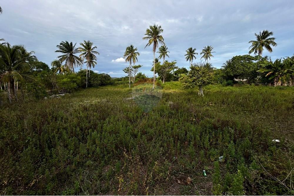 Terreno - Venda - Marechal Deodoro , Alagoas - WhatsApp Image 2025-01-30 at 12.56.31 (3).jpeg - 850691012-49