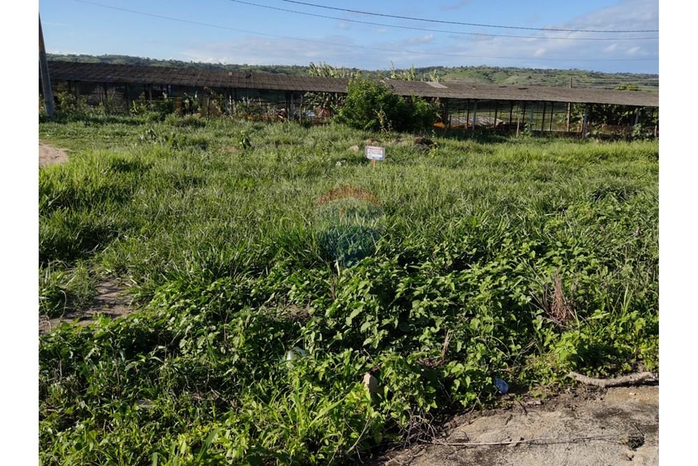 Terreno - Venda - Bonito , Pernambuco - WhatsApp Image 2025-03-10 at 08.44.20.jpeg - 850051012-95