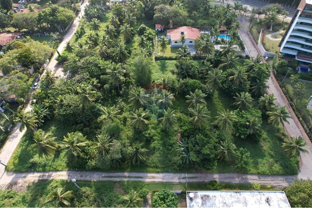 Terreno - Venda - Cabo de Santo Agostinho , Pernambuco - DJI_0923.jpg - 850091083-8