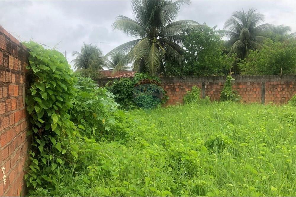 Terreno - Venda - Paripueira , Alagoas - terren.par3.jpeg - 850141054-63