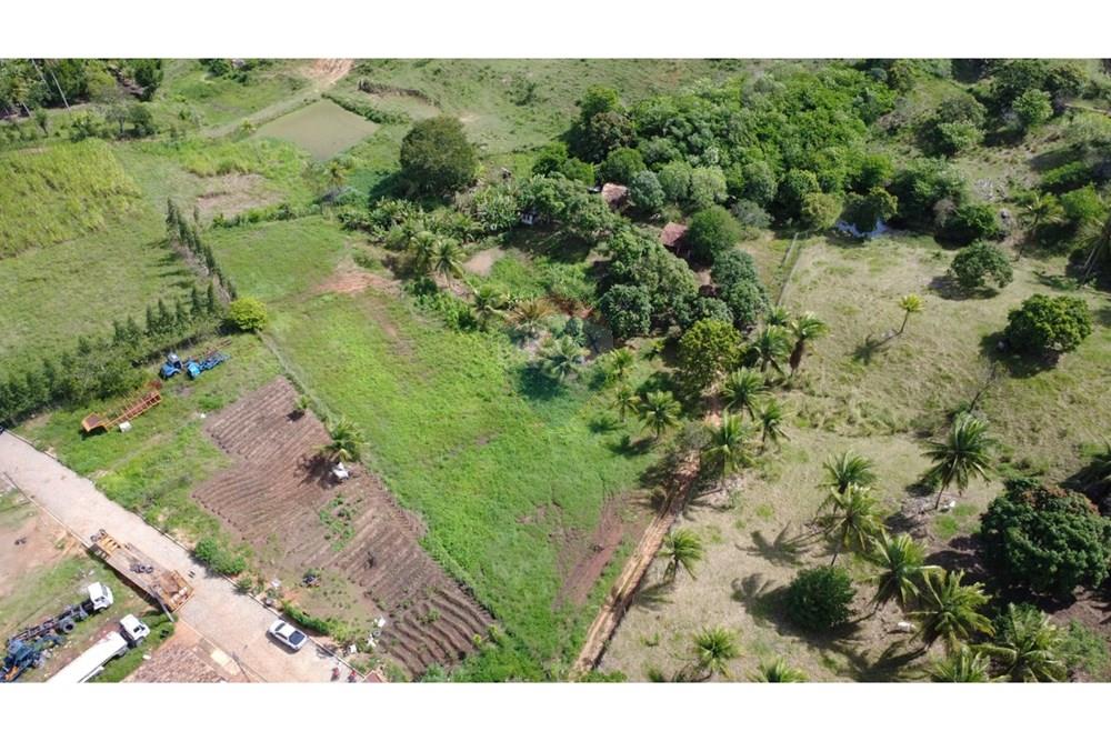 Chácara / Sítio / Fazenda - Venda - Boca da Mata , Alagoas - IMG-20250625-WA0287.jpg - 850641022-68