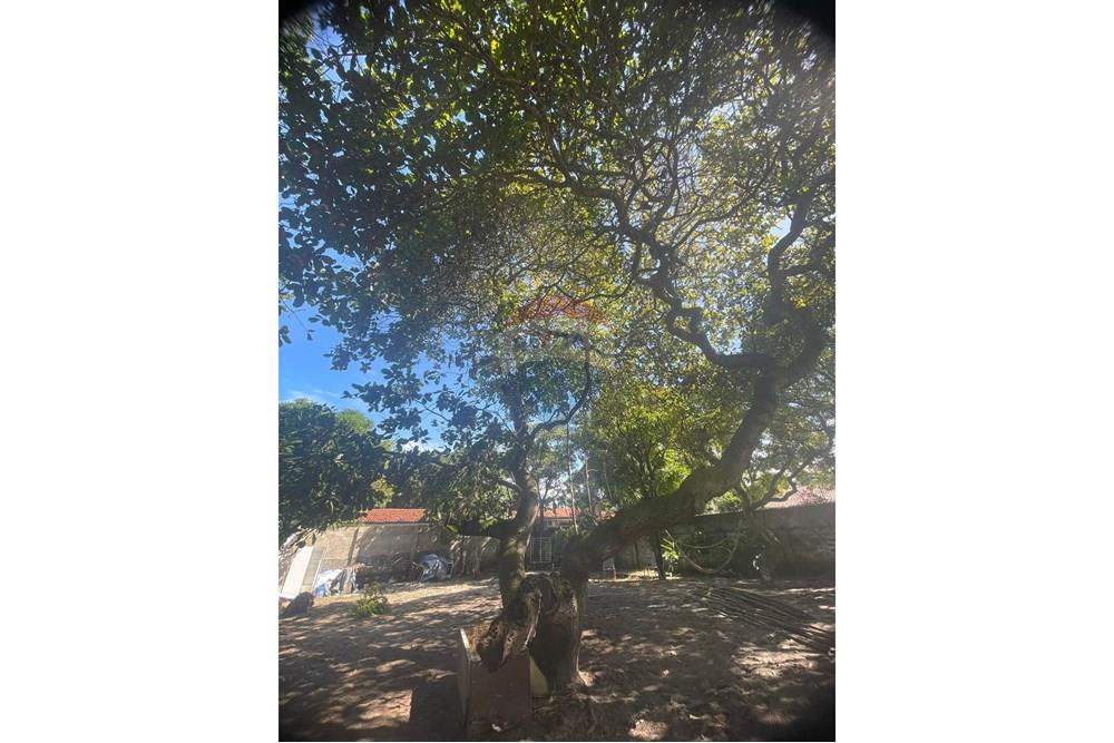 Terreno - Venda - Ipojuca , Pernambuco - IMG-20250613-WA0057.jpg - 850091046-361