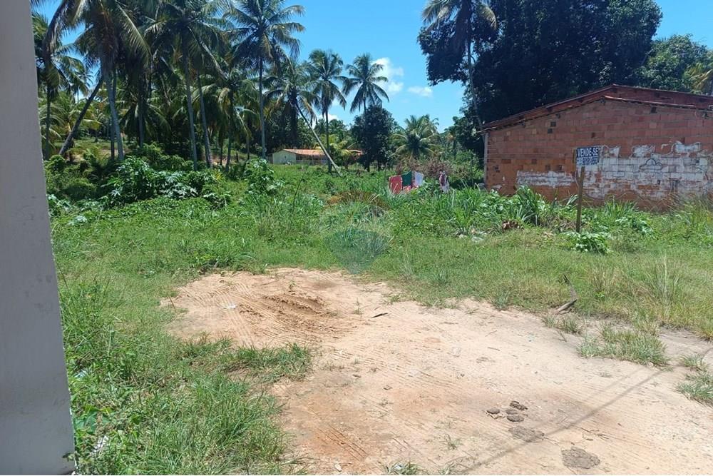 Terreno - Venda - Porto de Pedras , Alagoas - TERRENO LINDA 24.jpg - 850141002-102