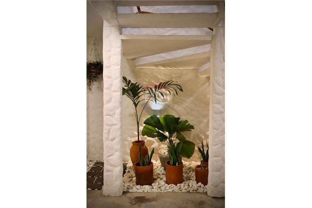 Cj. Comercial/ Sala - Alugar - Ipojuca , Pernambuco - 41 - 850221002-497