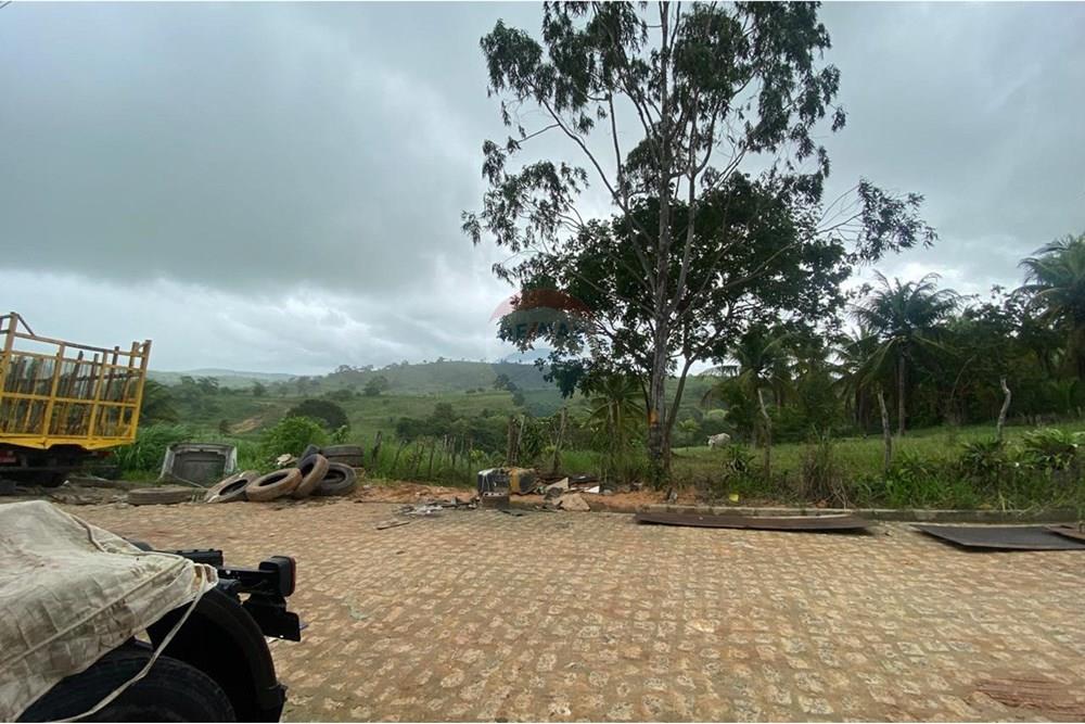 Chácara / Sítio / Fazenda - Venda - Boca da Mata , Alagoas - IMG-20250716-WA0073.jpg - 850641022-68