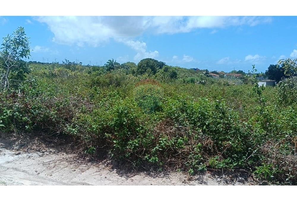 Terreno - Venda - Santo Amaro das Brotas , Sergipe - IMG-20251027-WA0017.jpg - 850581216-34