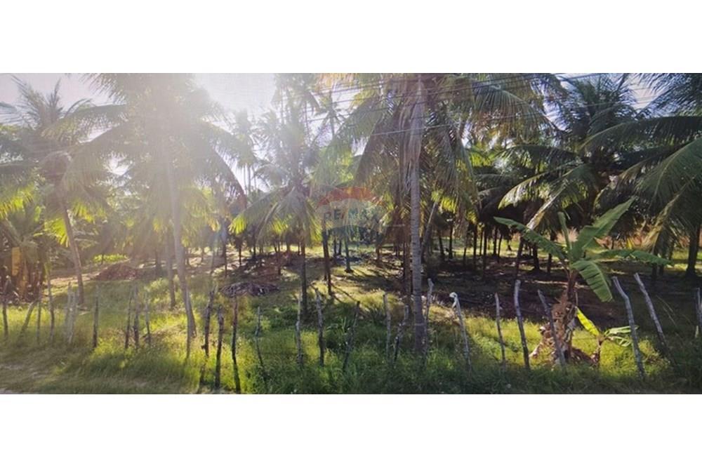Chácara / Sítio / Fazenda - Venda - Maceió , Alagoas - PHOTO-2025-09-12-11-36-10.jpg - 850711032-7