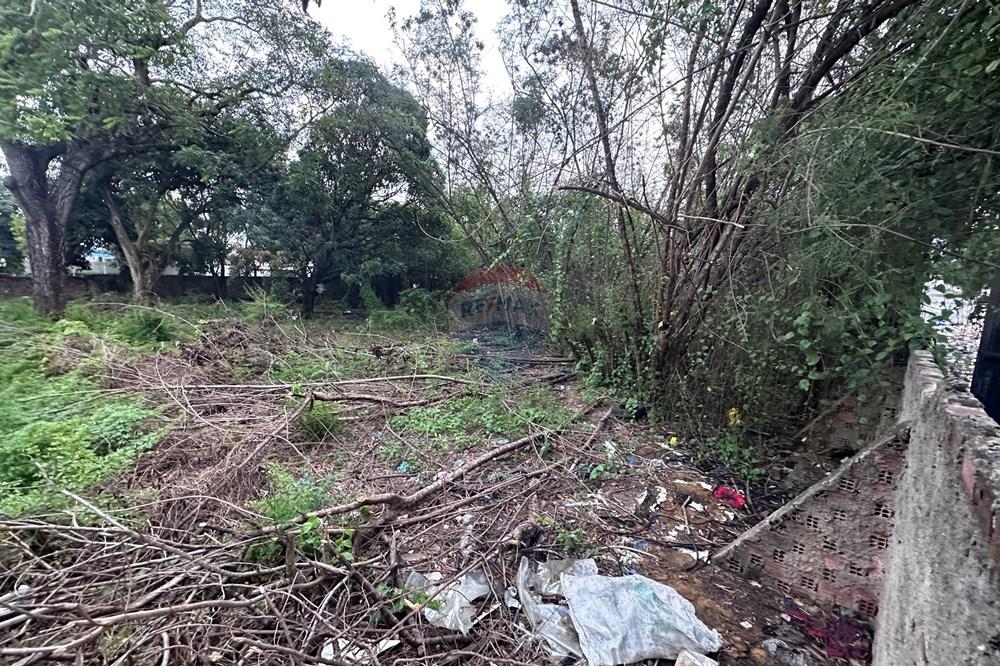 Terreno - Venda - Recife , Pernambuco - IMG_5076.jpeg - 850071028-29