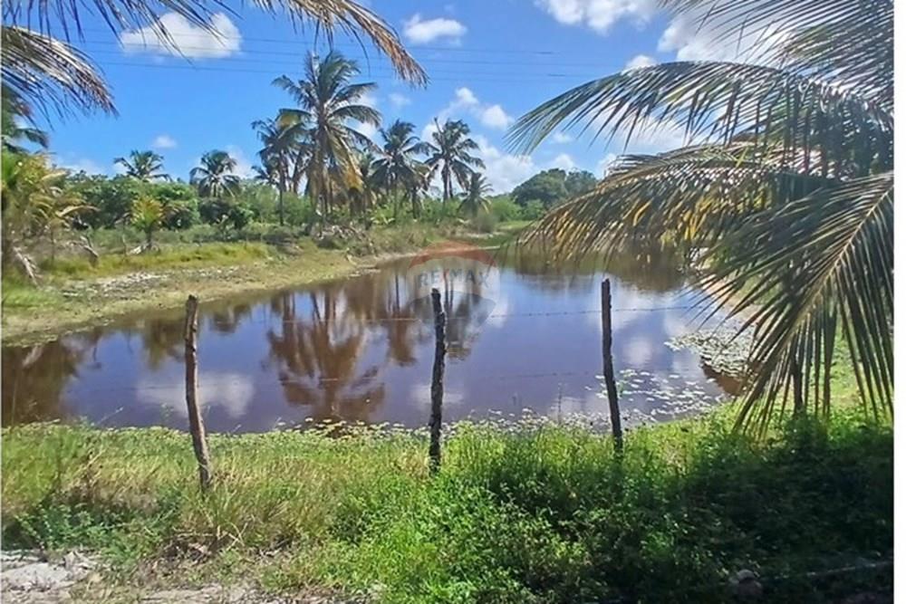 Chácara / Sítio / Fazenda - Venda - Piaçabuçu , Alagoas - lago2.jpg - 850271205-15