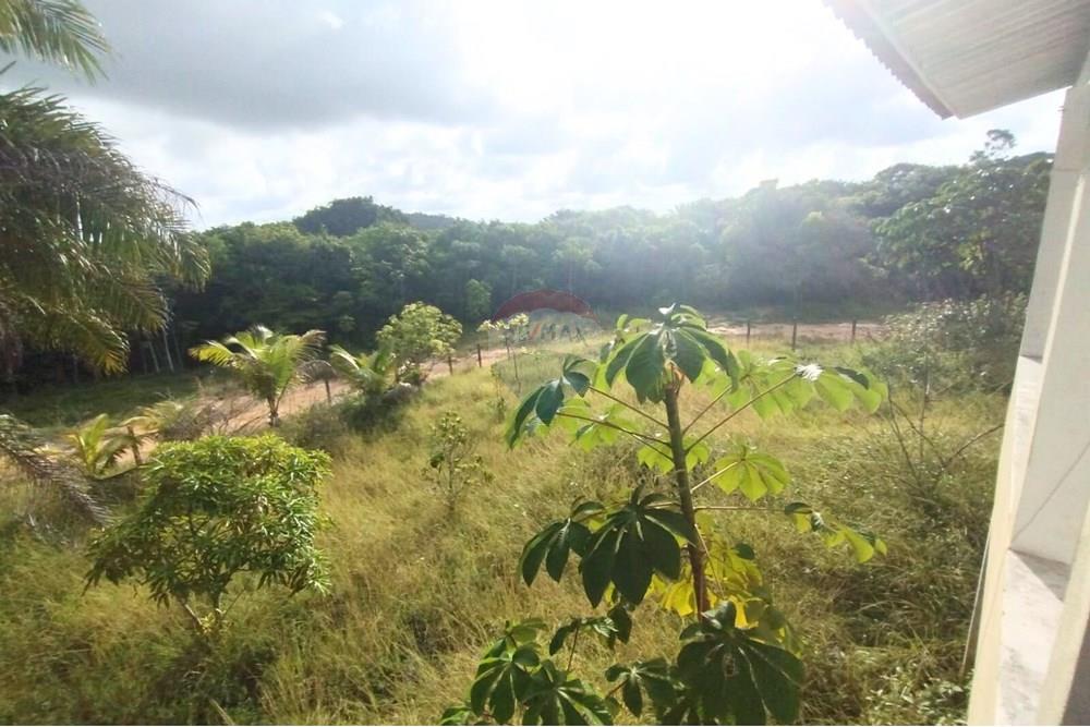 Casa - Alugar - Cabo de Santo Agostinho , Pernambuco - 0a9b15d8-69b5-4a52-bf4d-50a24c32aa19.jpg - 850281028-48