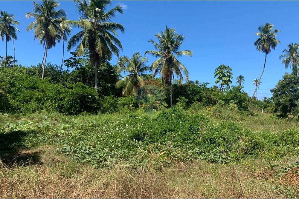 Terreno - Venda - Porto de Pedras , Alagoas - 14.jpg - 850661038-32