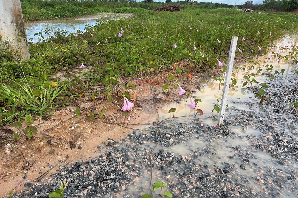 Terreno - Venda - Marechal Deodoro , Alagoas - IMG_3126.jpeg - 850271140-90