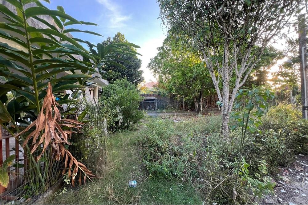 Chácara / Sítio / Fazenda - Venda - Maceió , Alagoas - 2d6b729a-99e2-4dba-9606-a2cb2f5da1cd.jpg - 850271213-2