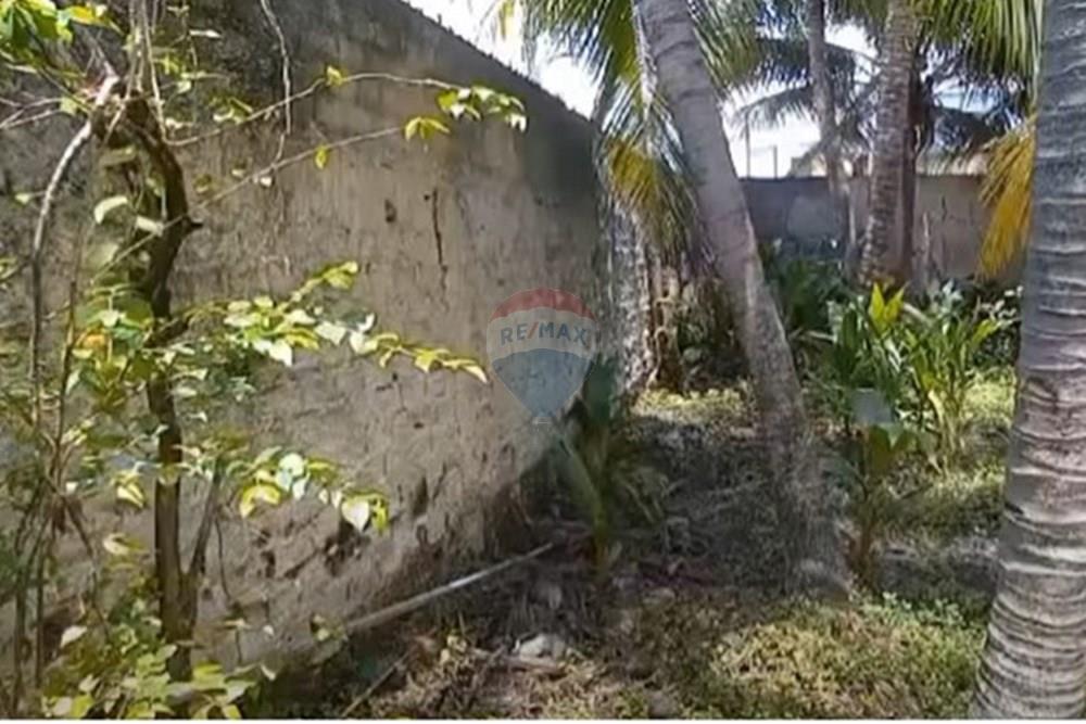 Terreno - Venda - Jaboatão dos Guararapes , Pernambuco - Foto dentro do terreno II.jpg - 850601020-8