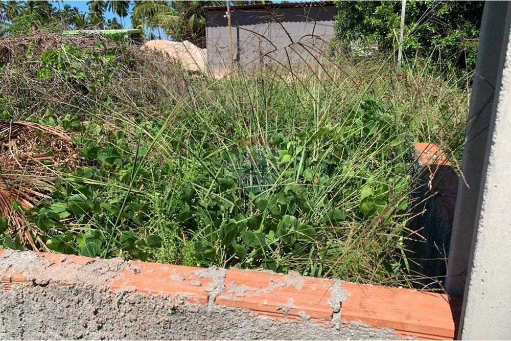 Terreno - Venda - Porto de Pedras , Alagoas - 13.jpg - 850661038-25