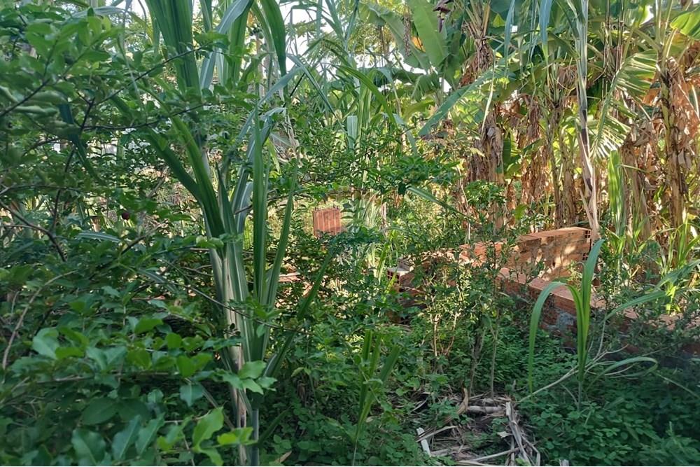 Terreno - Venda - Maceió , Alagoas - TERRENO JOAO 12.jpg - 850141002-98