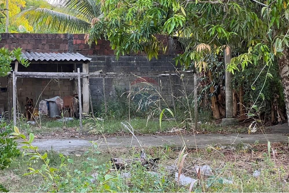 Chácara / Sítio / Fazenda - Venda - Maceió , Alagoas - 50022f5a-4cb5-4089-87ef-6abc50f07922.jpg - 850271213-2