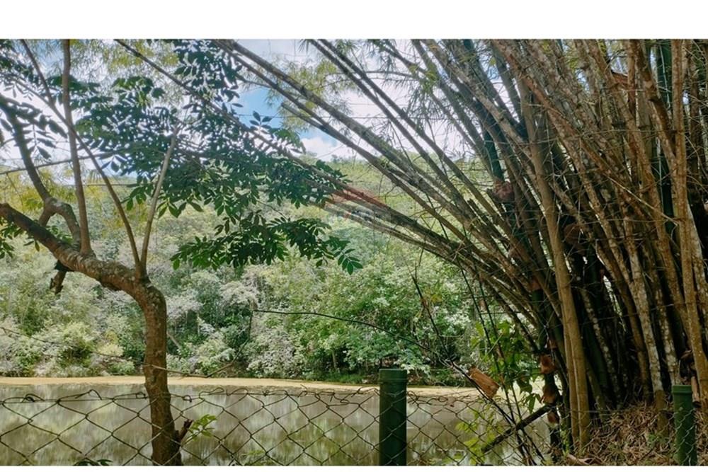 Casa de Condomínio - Venda - Camaragibe , Pernambuco - BAMBU AÇUDE.jpeg - 850091072-10