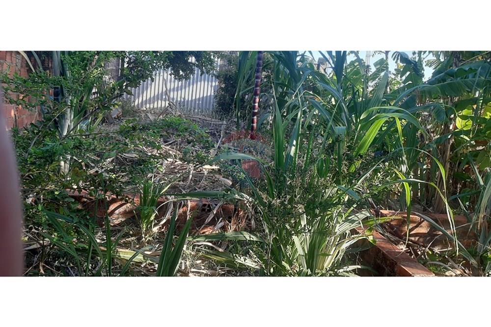 Terreno - Venda - Maceió , Alagoas - TERRENO JOÃO IPIOCA 5.jpg - 850141002-98