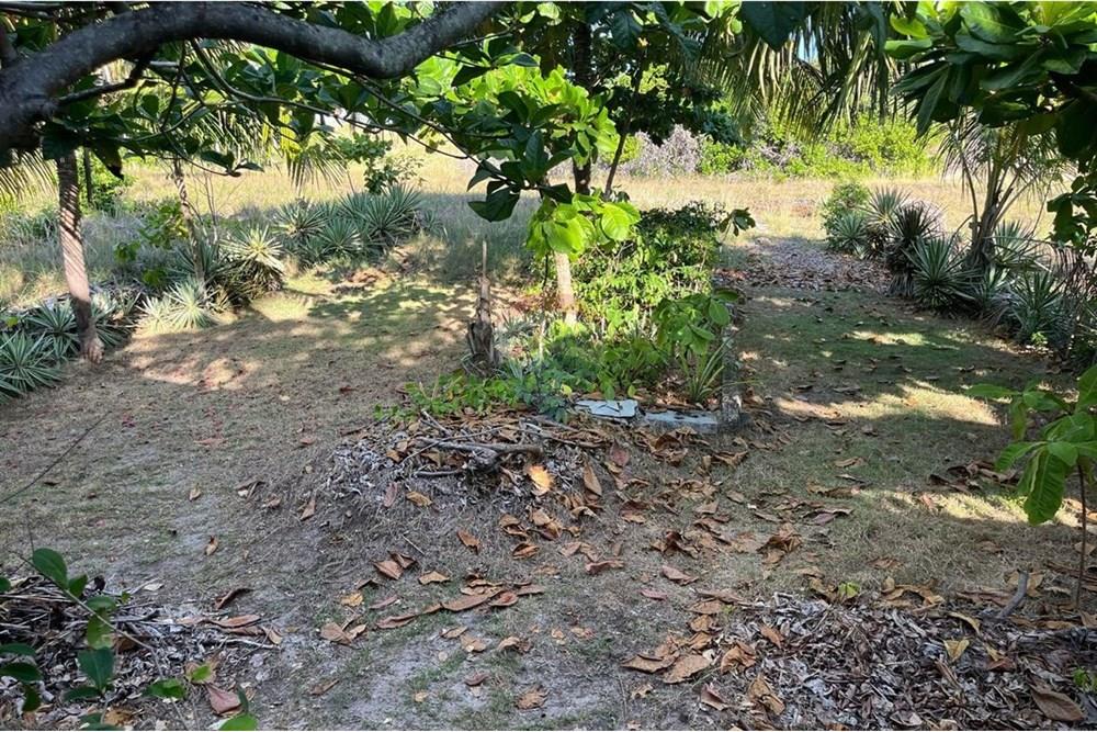 Casa - Venda - Marechal Deodoro , Alagoas - WhatsApp Image 2025-05-19 at 08.45.23 (2).jpeg - 850641045-10