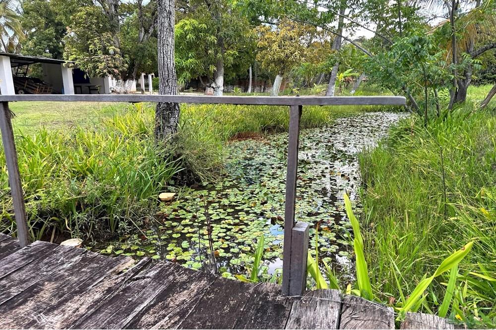 Terreno - Venda - Barra de Santo Antônio , Alagoas - IMG_3370.JPEG - 850491016-41