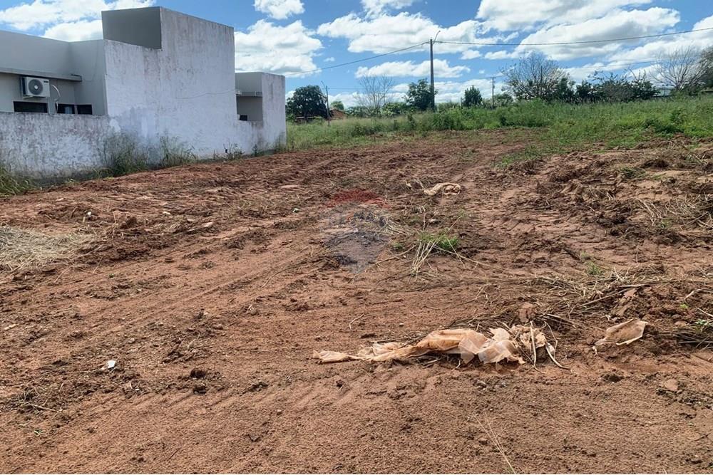 Terreno - Venda - Palmeira dos Índios , Alagoas - 007534b4-5cc4-4f58-8800-7bb08d9a1897.jpg - 850271243-2