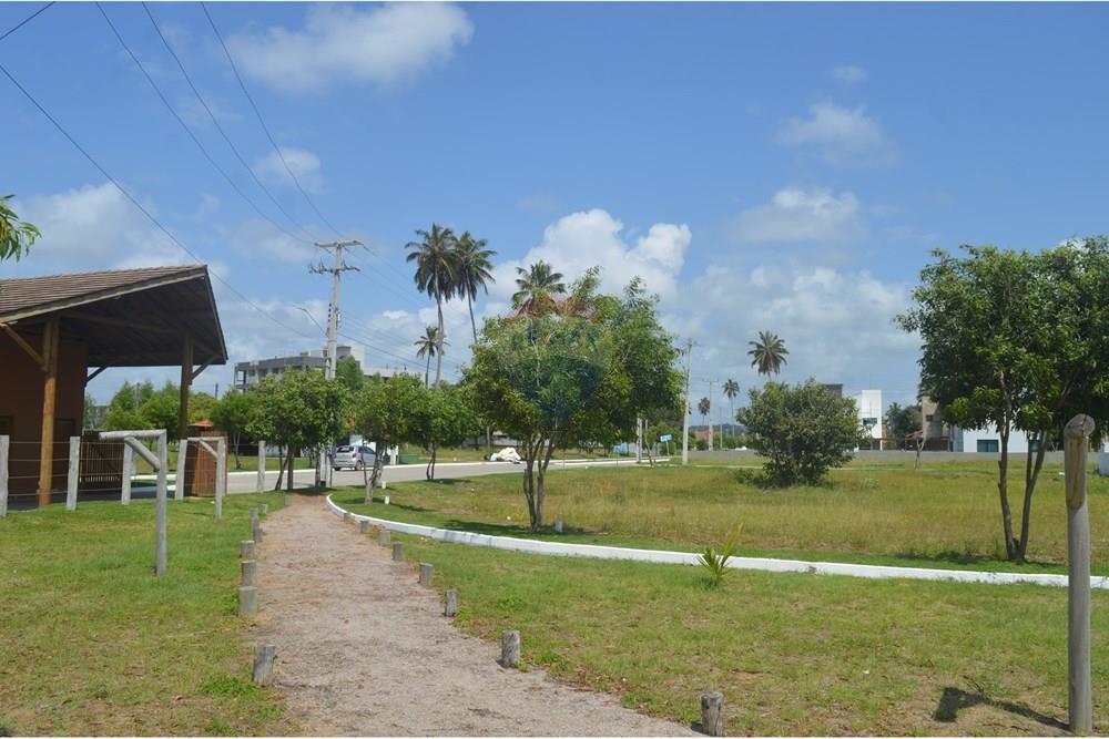 Terreno - Venda - Japaratinga , Alagoas - SAVE_20250916_143856.jpg - 850291008-90