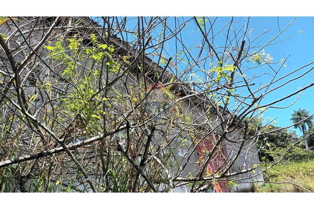 Galpão - Alugar - Cabo de Santo Agostinho , Pernambuco - WhatsApp Image 2024-11-05 at 15.13.32 (2).jpeg - 850281025-47