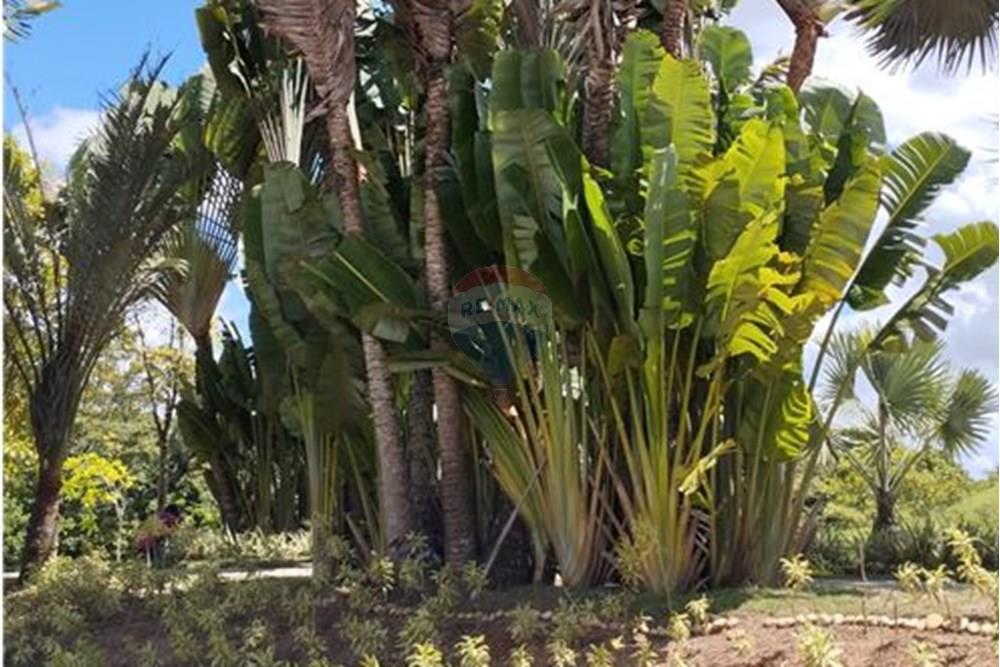 Terreno - Venda - Jaboatão dos Guararapes , Pernambuco - 22 - 850071019-204