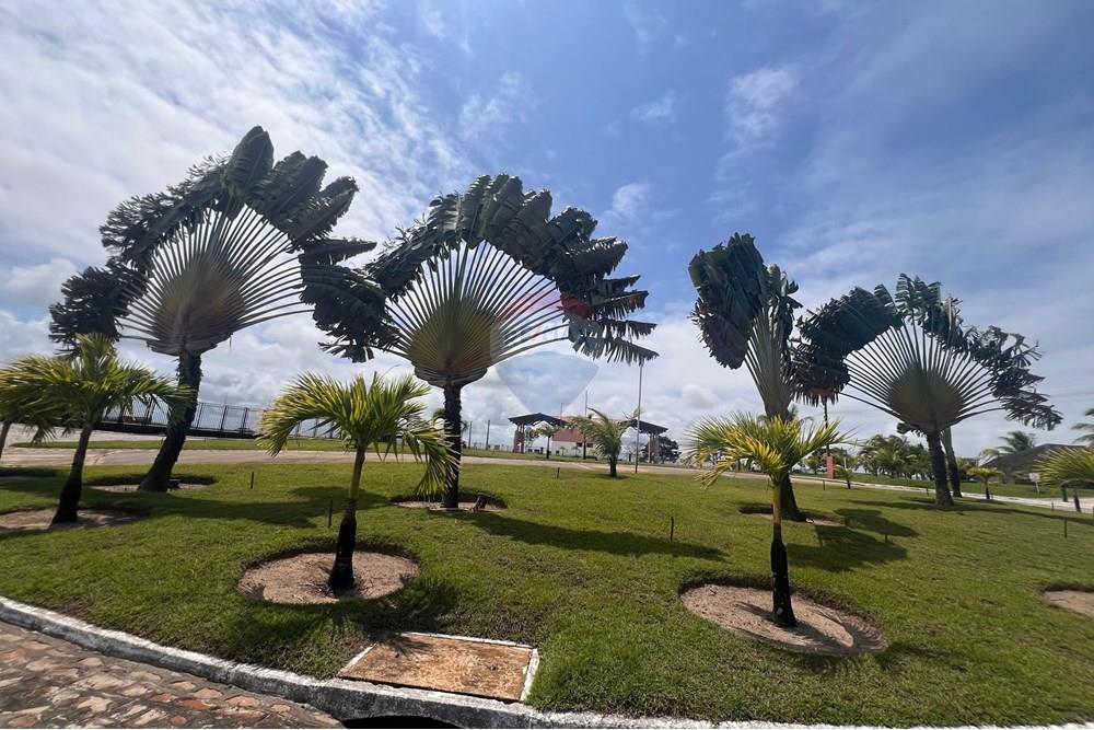 Terreno - Venda - Barra de São Miguel , Alagoas - Imagem do WhatsApp de 2025-09-22 à(s) 18.12.09_84ec31b9.jpg - 850271232-9