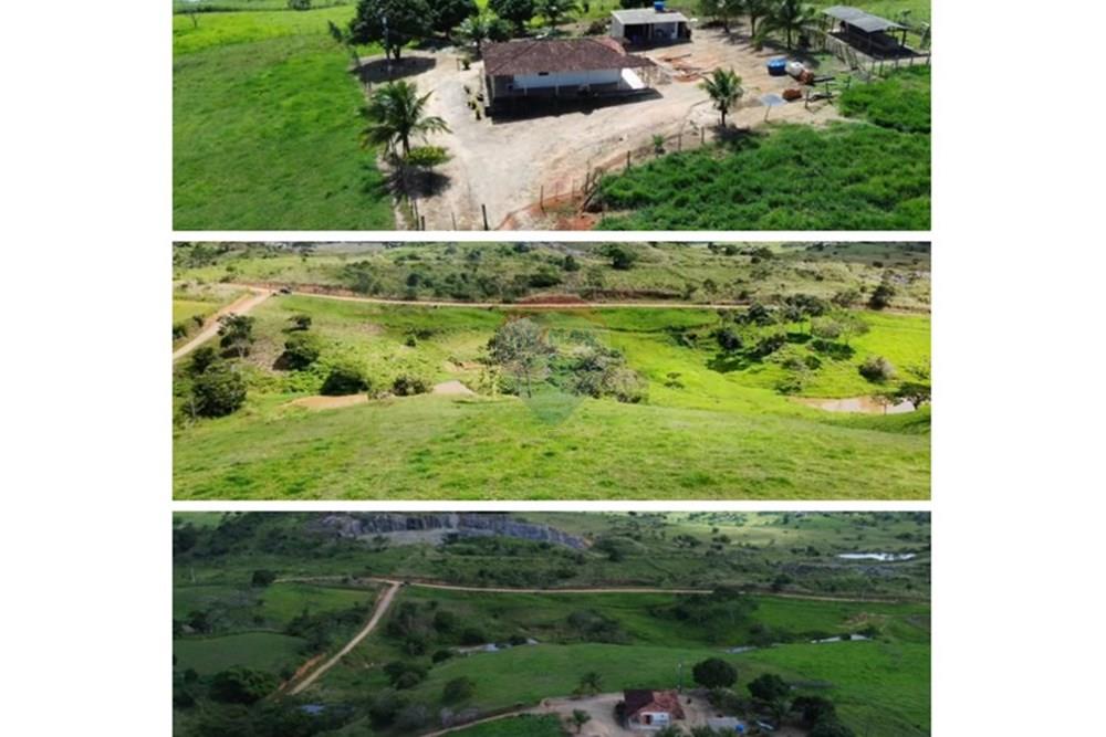 Chácara / Sítio / Fazenda - Venda - Boca da Mata , Alagoas - WhatsApp Image 2025-09-30 at 10.00.52.jpeg - 850641045-58