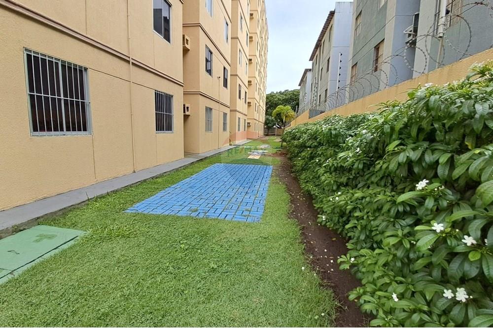 Apartamento - Venda - Olinda , Pernambuco - 07.jpg - 850301022-41