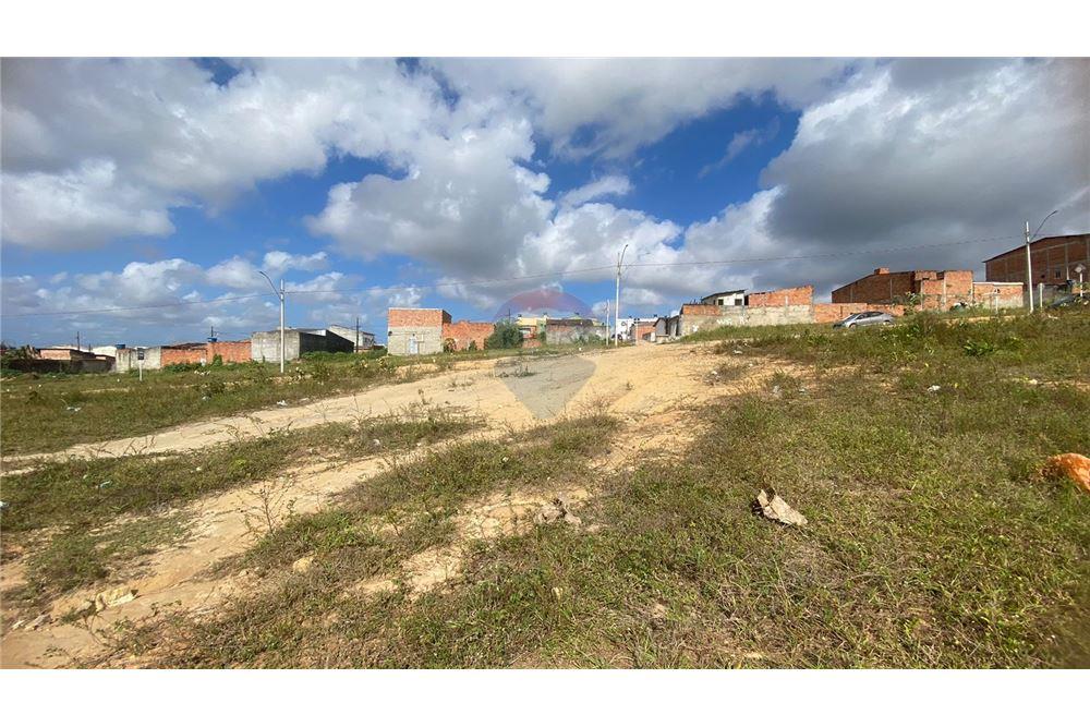 Terreno - Venda - São Cristóvão , Sergipe - 12 - 850581005-232