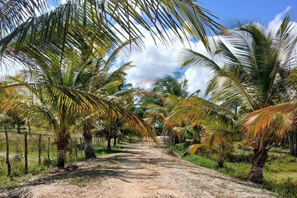 Chácara / Sítio / Fazenda - Venda - Piaçabuçu , Alagoas - Entrada.jpg - Fachada - 850271205-15