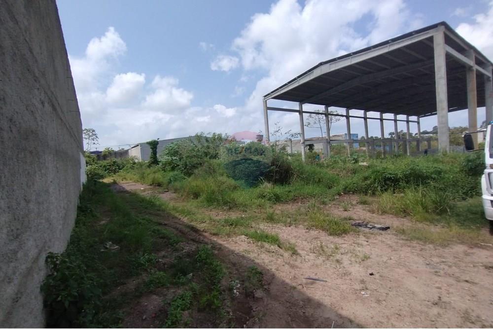 Terreno - Venda - Cabo de Santo Agostinho , Pernambuco - WhatsApp Image 2024-09-16 at 21.45.02.jpeg - 850281028-43