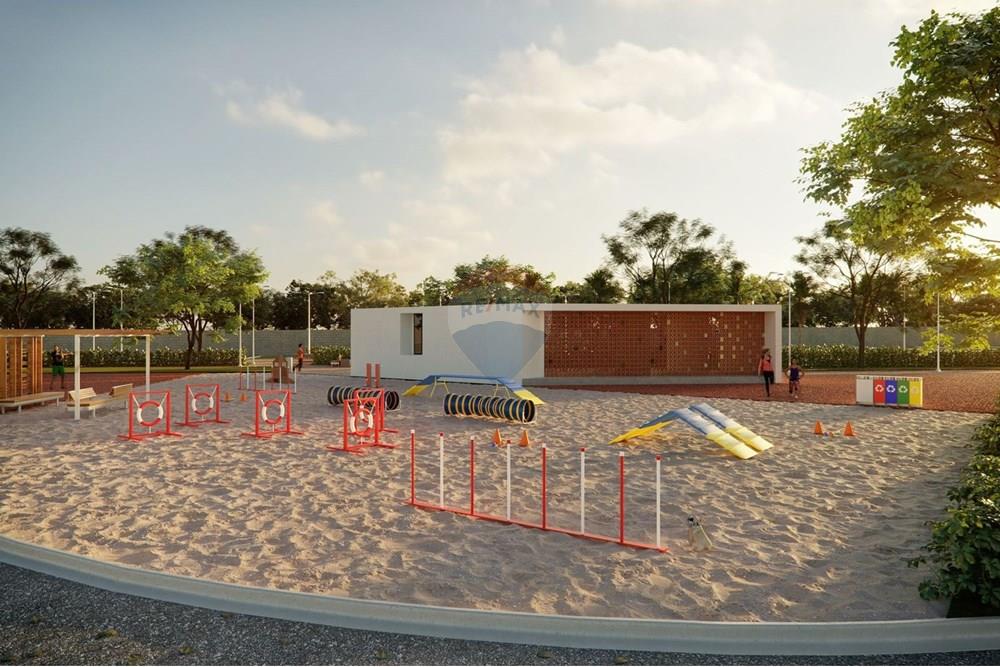 Terreno - Venda - Santa Cruz do Capibaribe , Pernambuco - Imagem do WhatsApp de 2025-08-27 à(s) 13.33.56_b469c3b7.jpg - 850051012-137