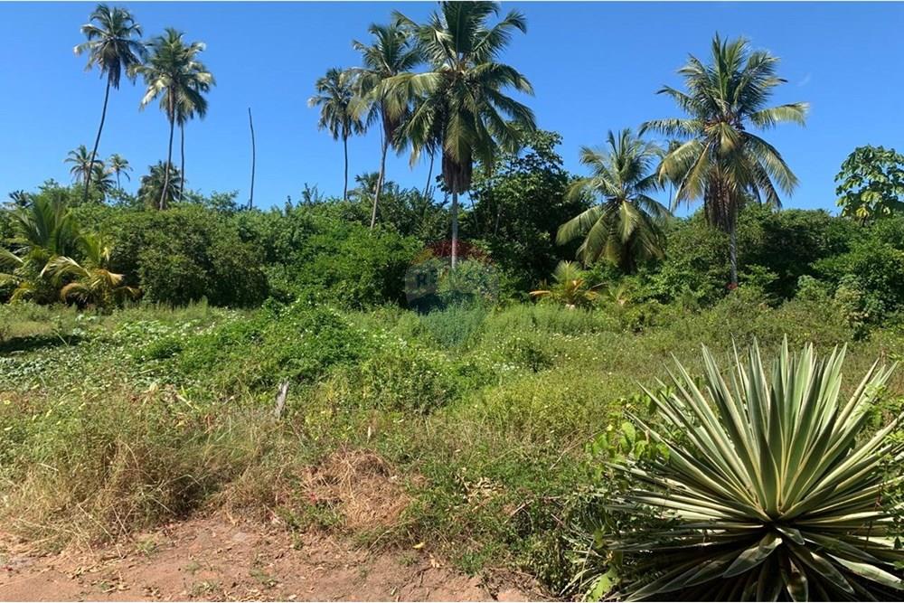 Terreno - Venda - Porto de Pedras , Alagoas - 7.jpg - 850661038-32