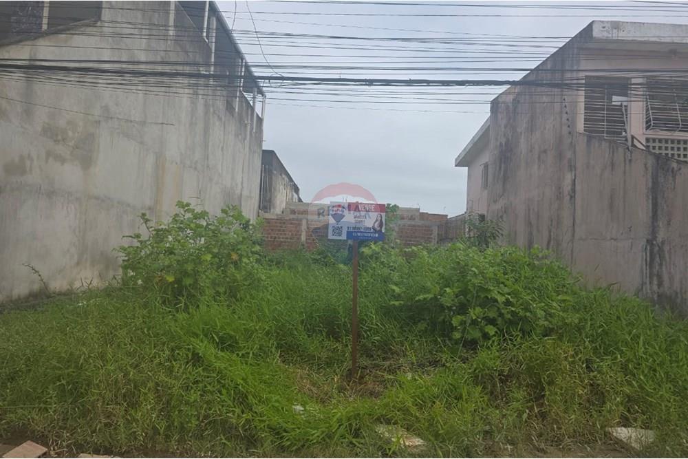 Terreno - Venda - Cabo de Santo Agostinho , Pernambuco - WhatsApp Image 2025-08-23 at 22.29.35 (1).jpeg - 850281036-101