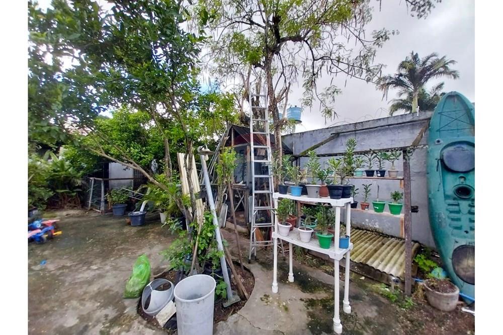 Casa - Venda - Maceió , Alagoas - WhatsApp Image 2025-06-21 at 12.35.11.jpeg - 850271232-1